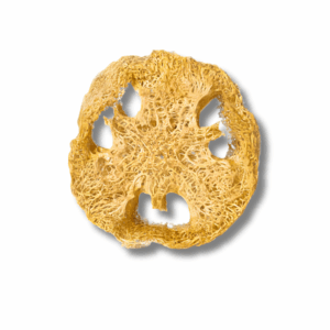 Porte-savon en luffa (loofah)